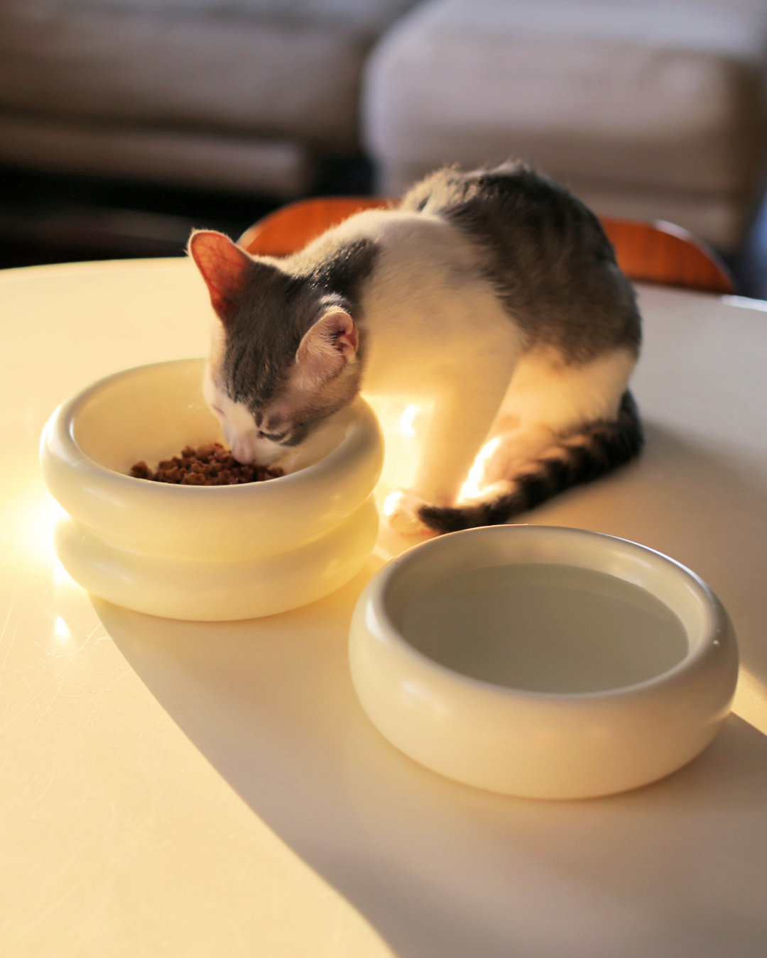 Halo Elevated Cat Food Bowl