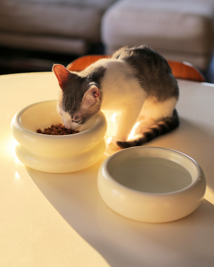 Halo Elevated Cat Food Bowl