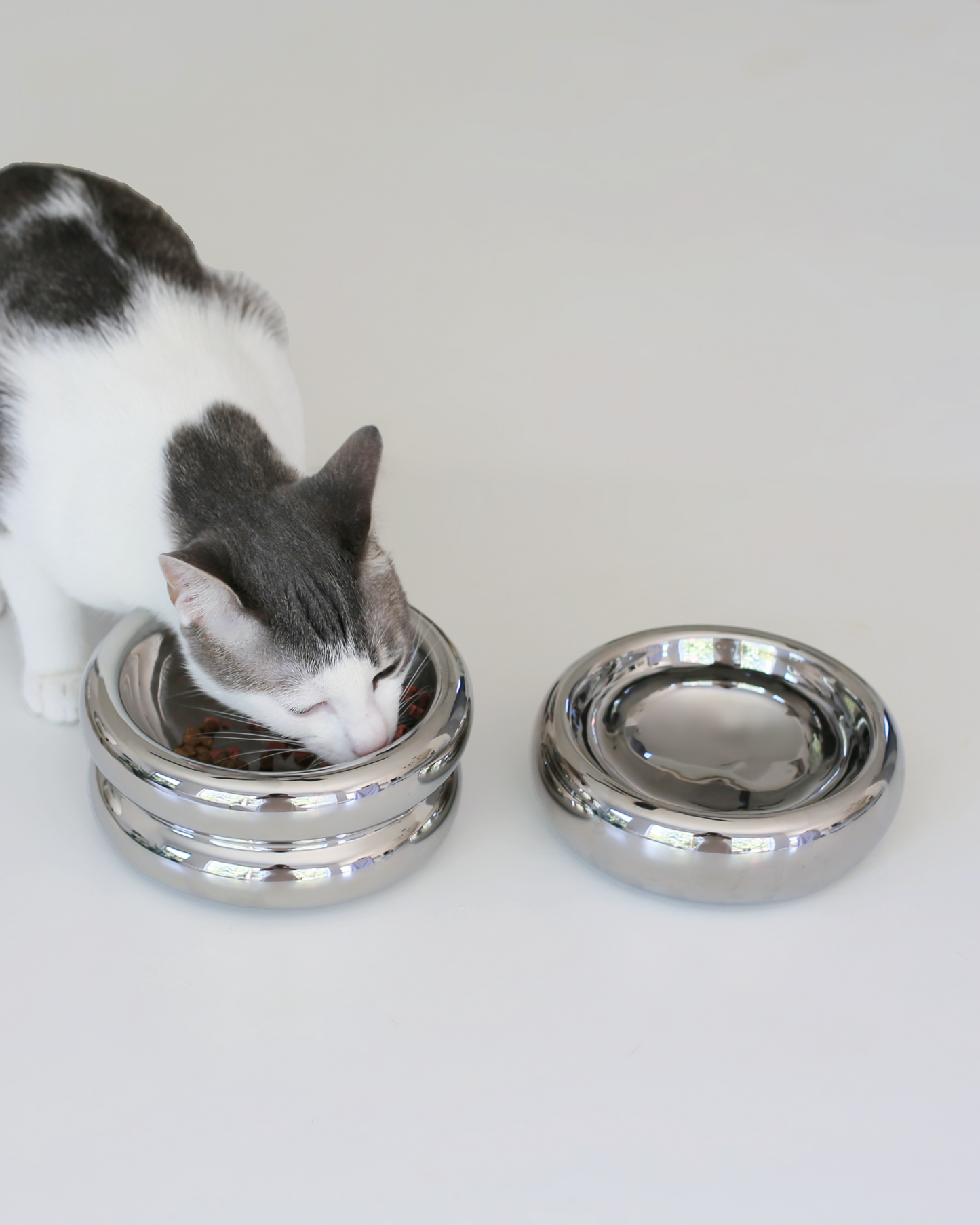 Halo Elevated Cat Food Bowl in Chrome
