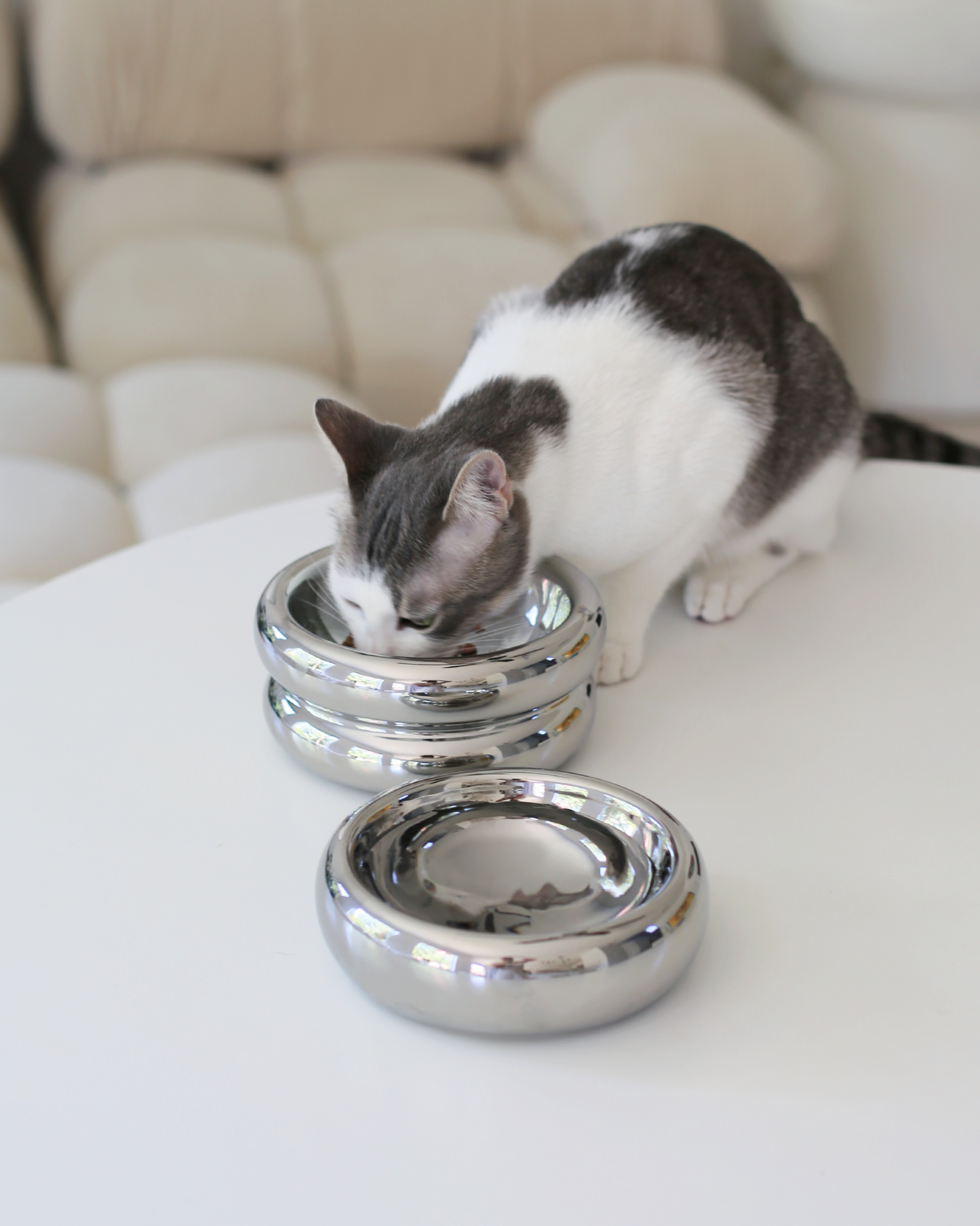 Halo Cat Food Bowl in Chrome