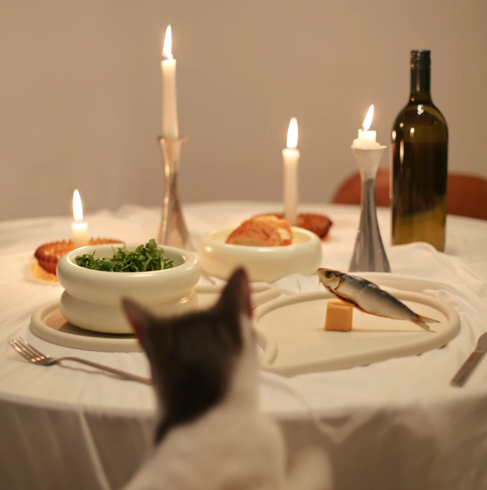 Halo Elevated Cat Food Bowl