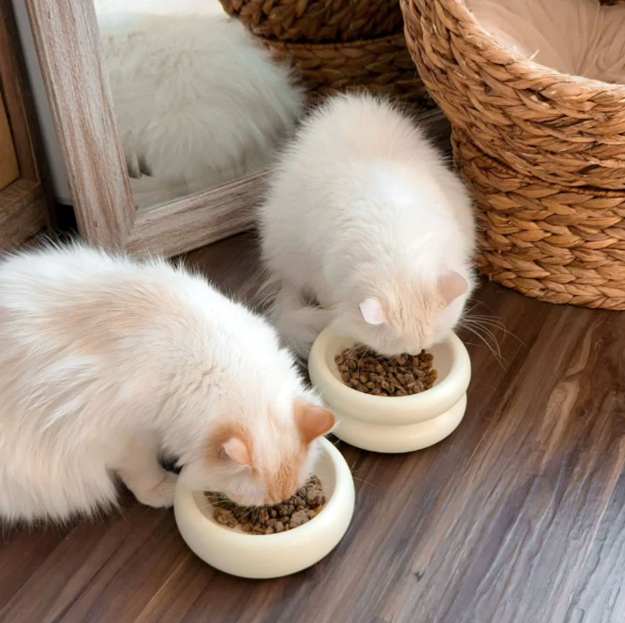 Halo Elevated Cat Food Bowl